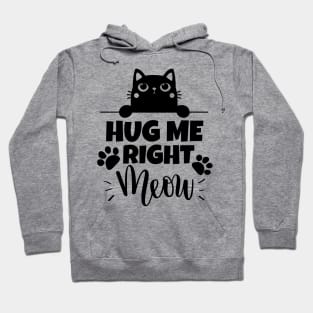 Hug me right meow!!! Hoodie